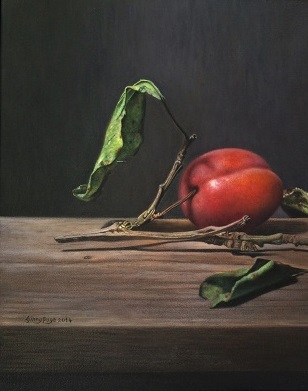Ginny Page 2014 - Still Life with Plums 25 x 40cm - Oil on Canvas